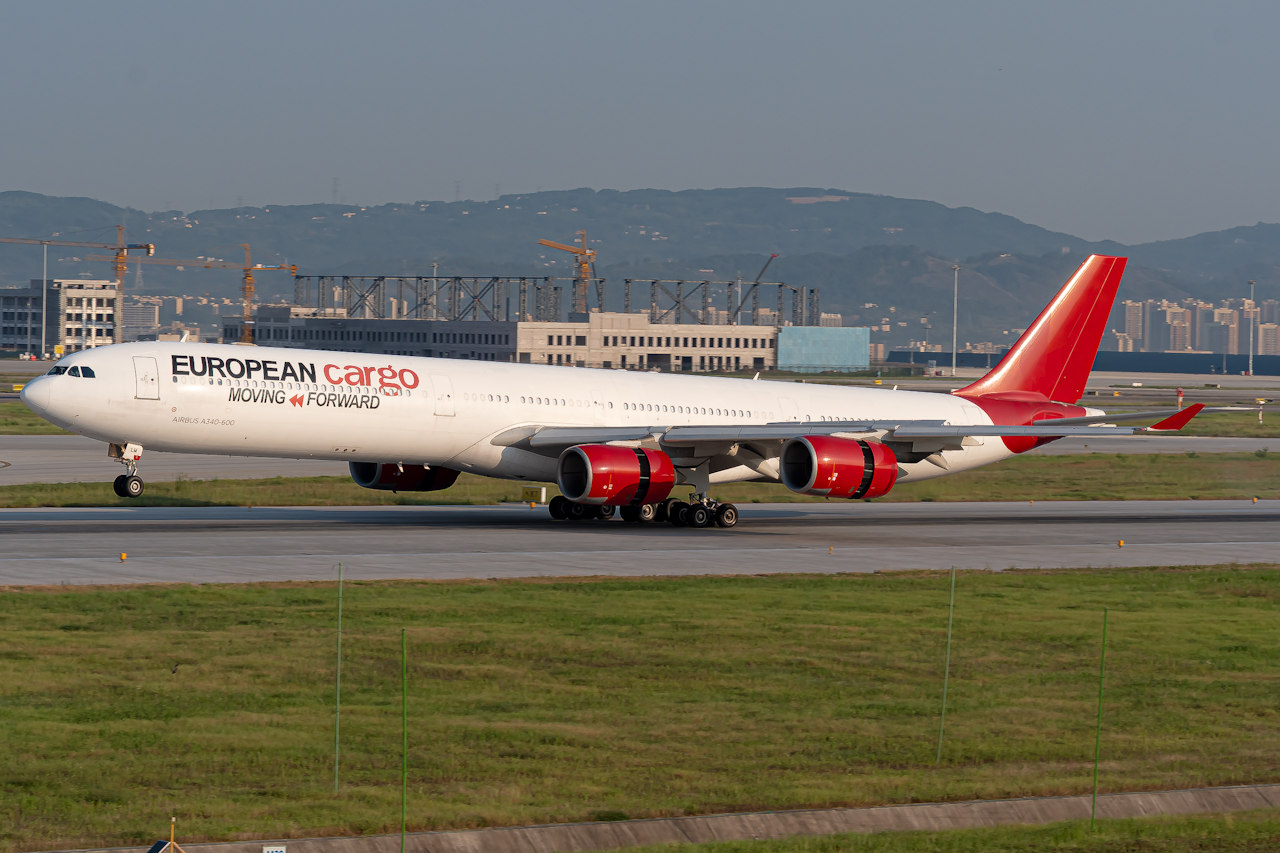 European Cargo Airbus A340-642（F）