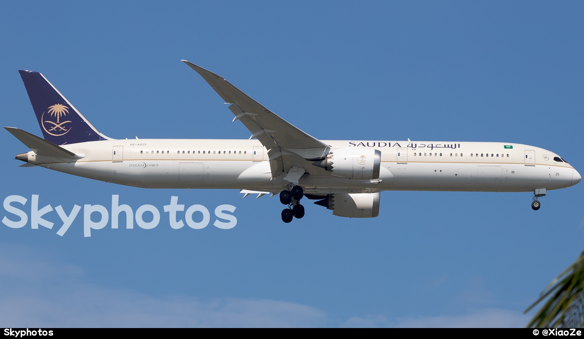 沙特阿拉伯航空 B78X