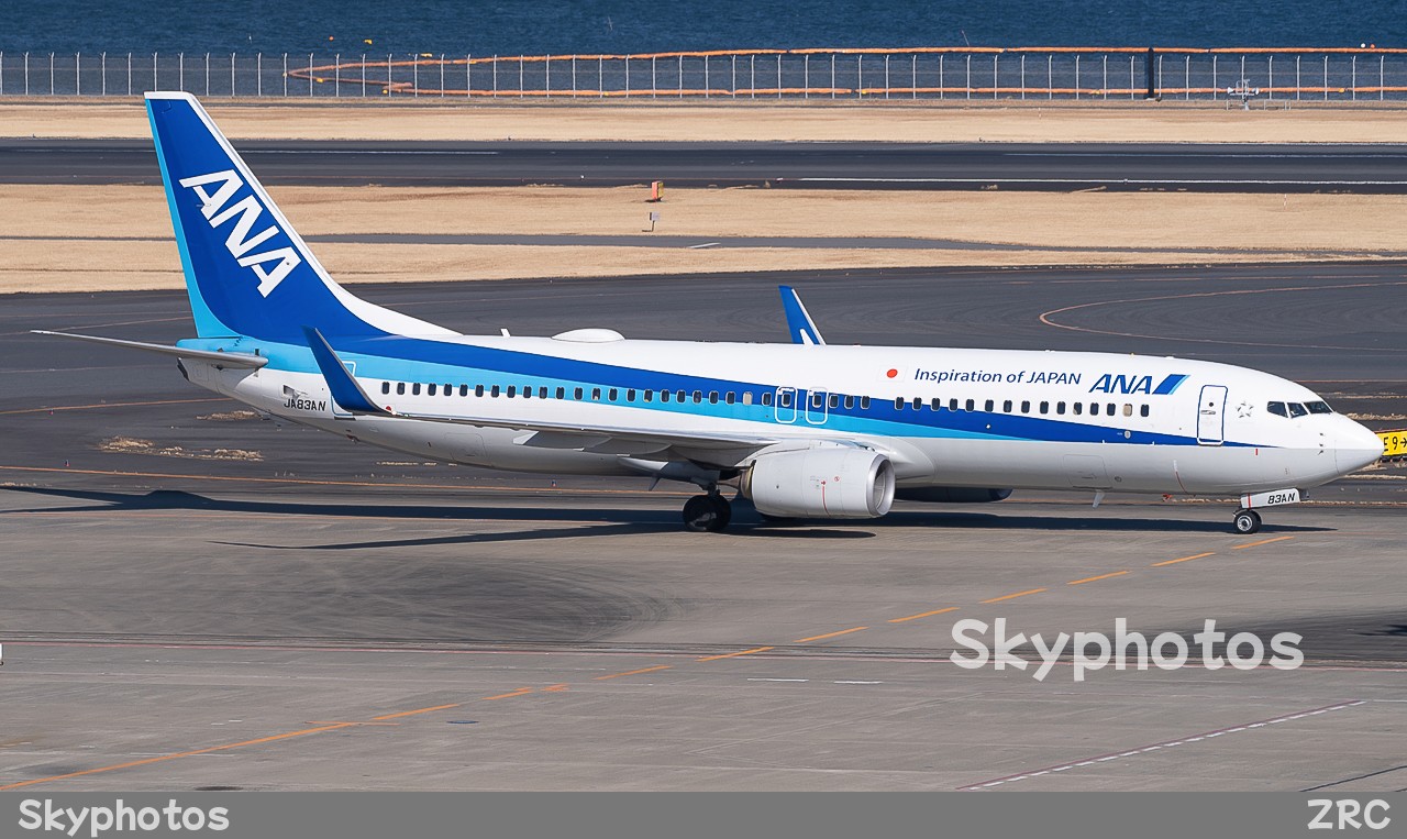 Air Nippon Airways B737-881