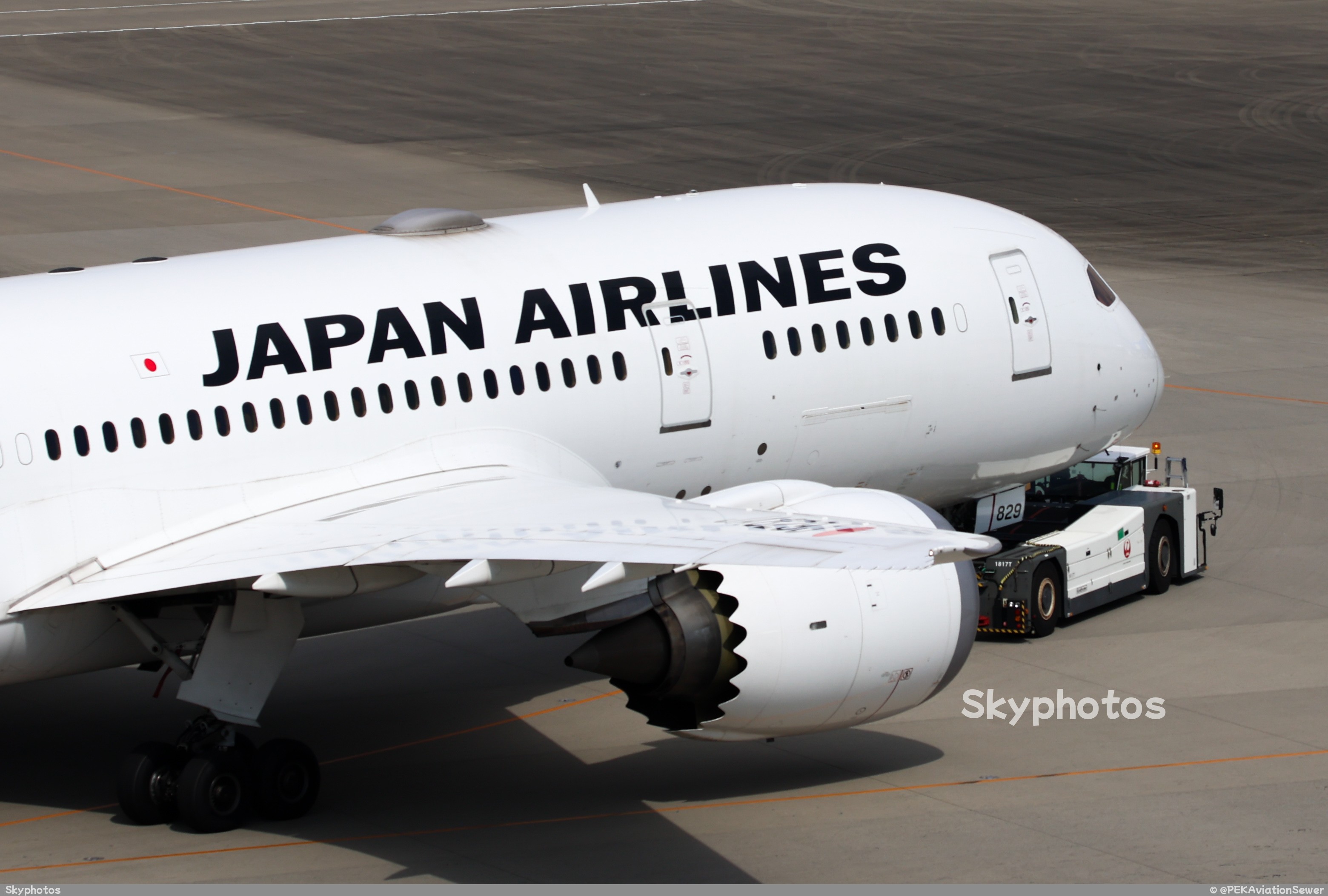 Japan Airlines Boeing 787-9Dreamliner