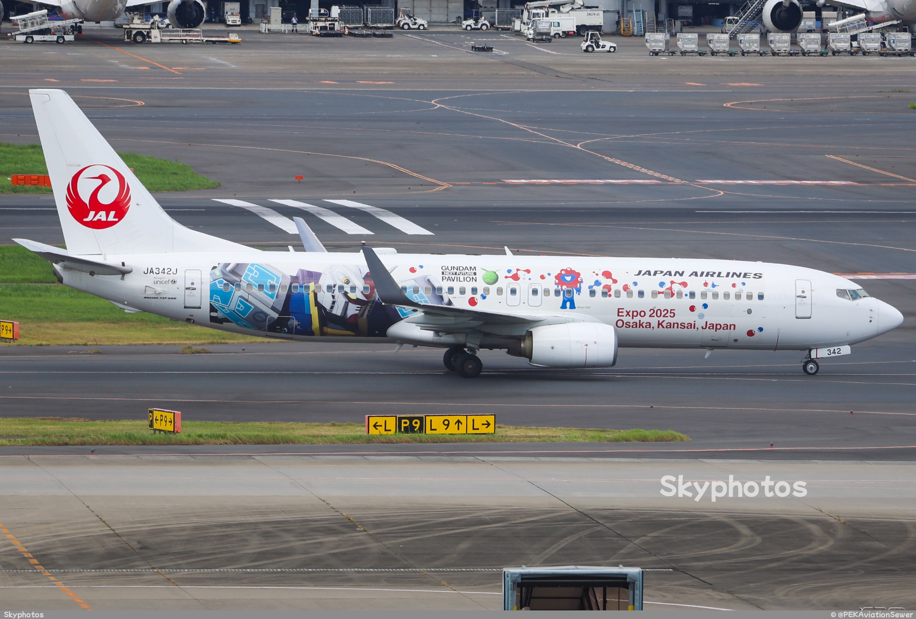 Japan Airlines Boeing 737-800