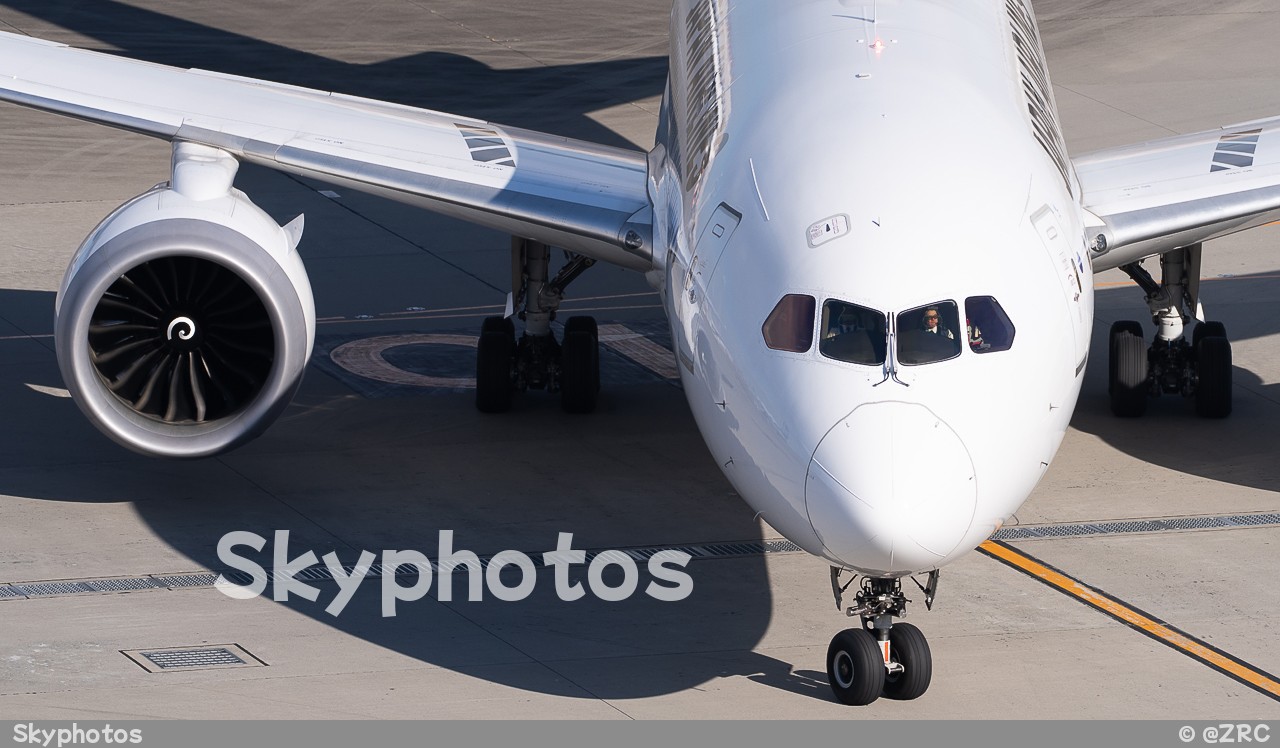 Japan Airlines Boeing 787-8 Dreamliner