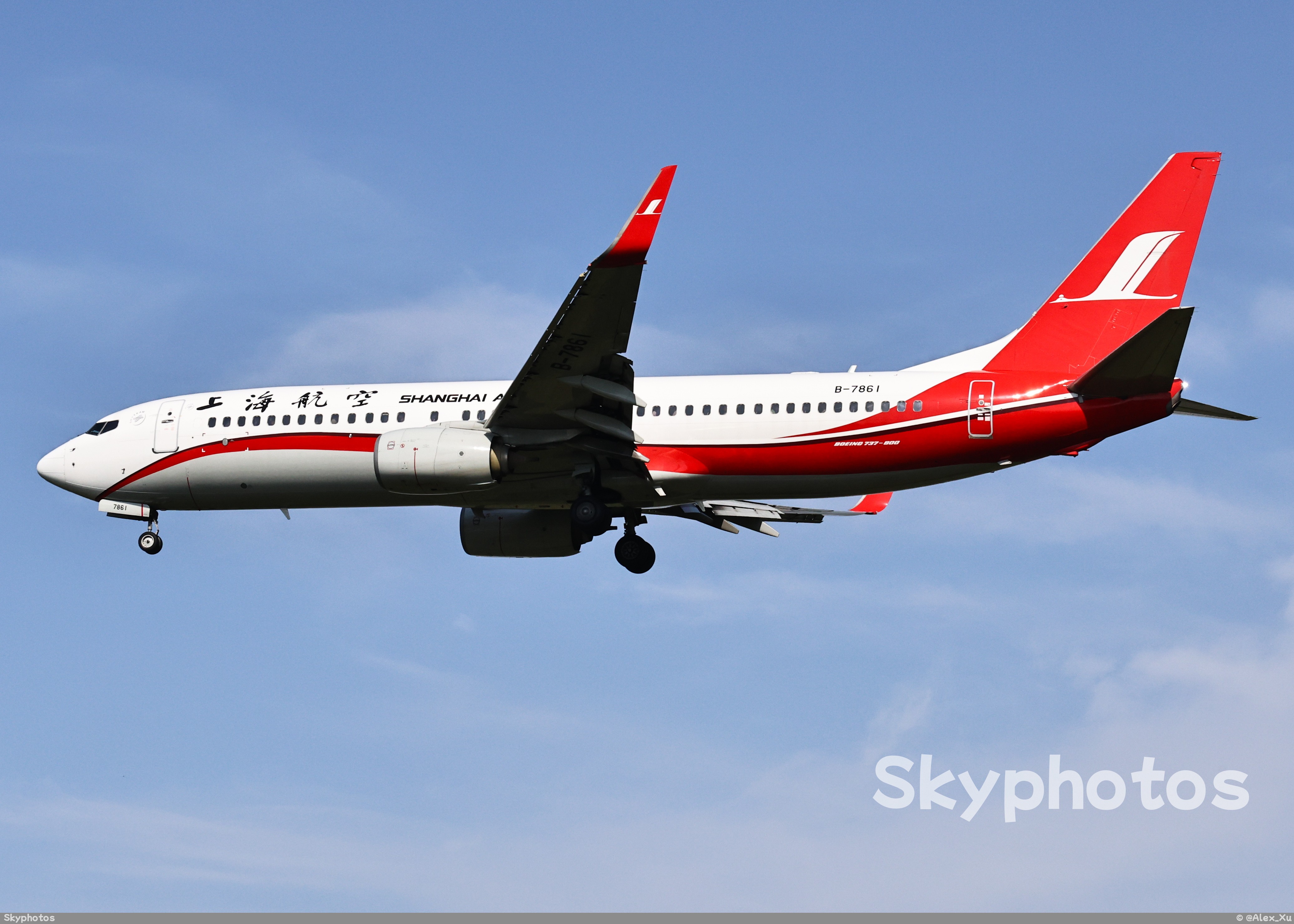 上海航空 B737-89P(WL)