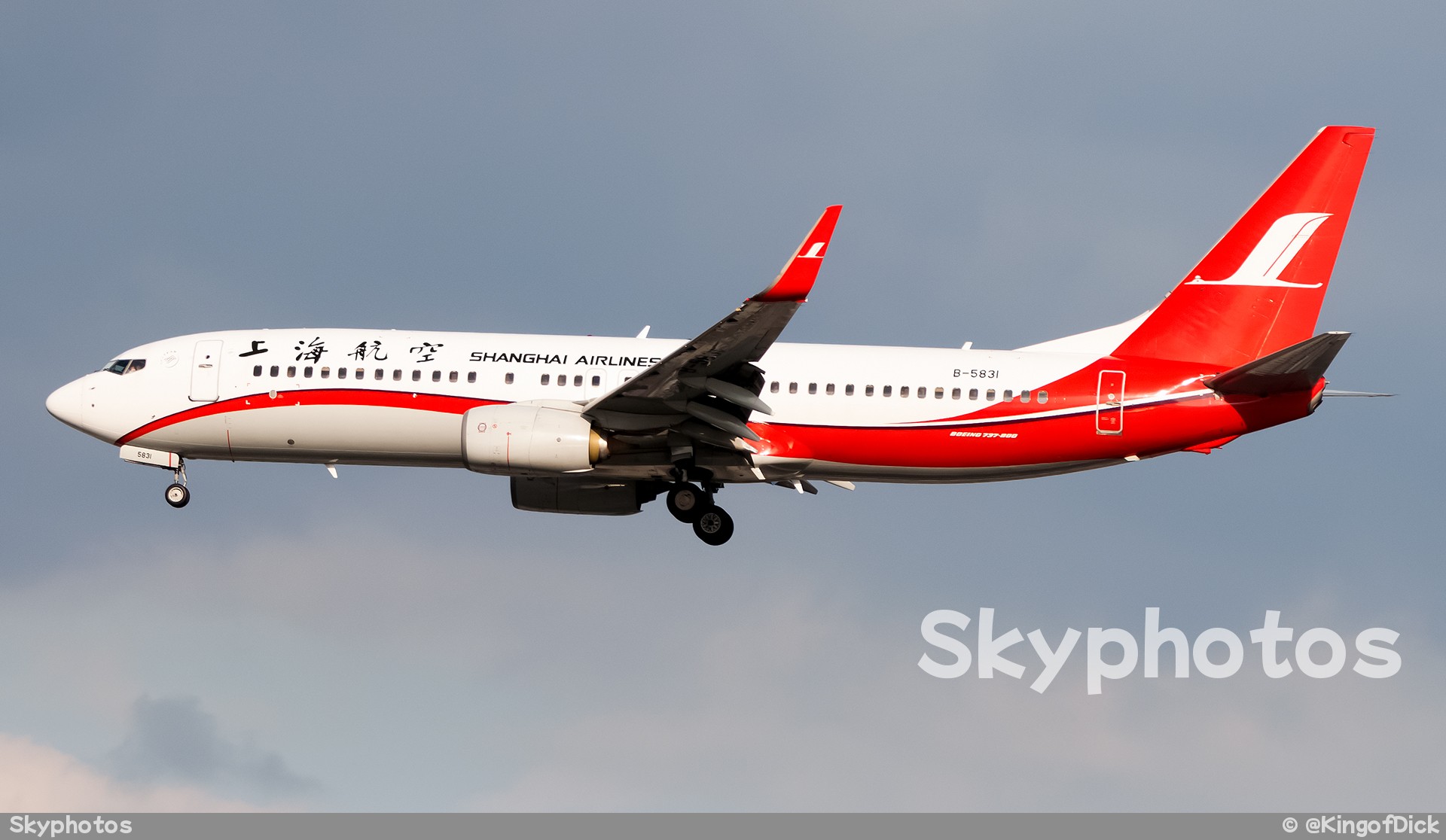 上海航空 B737-86D(WL)