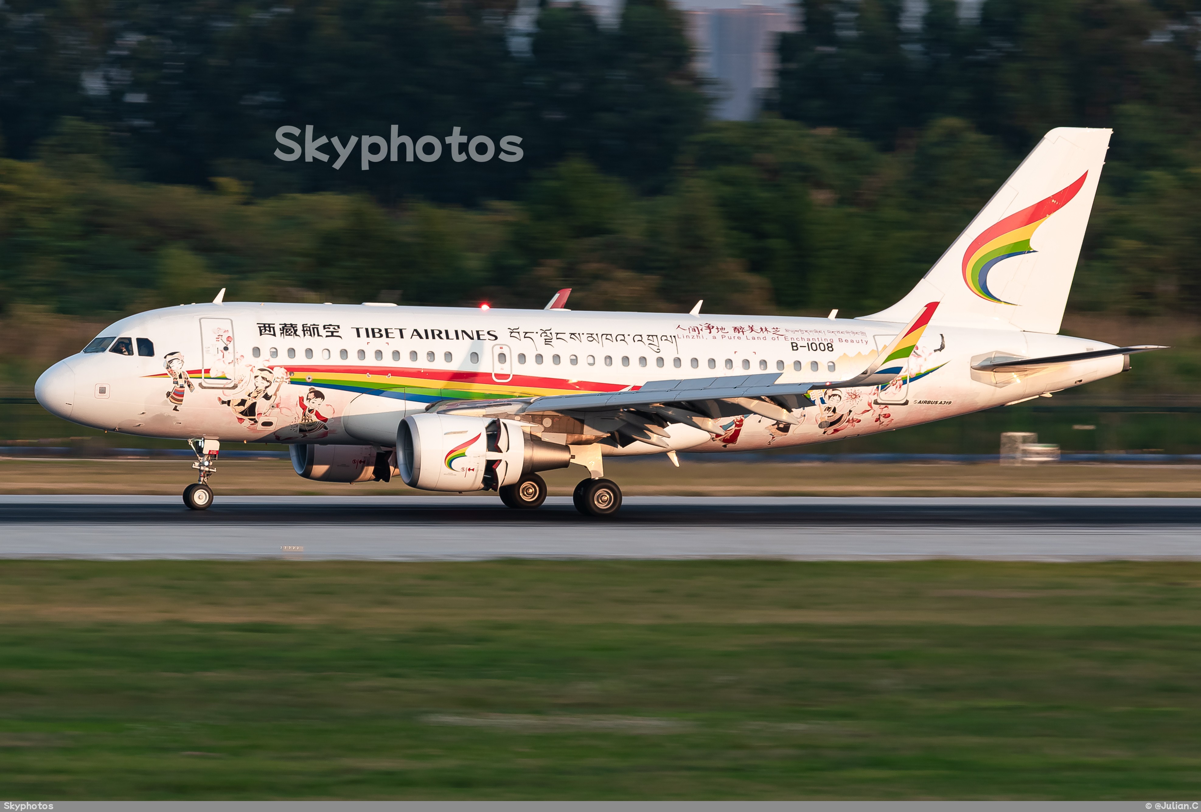 西藏航空 A319-115(WL)