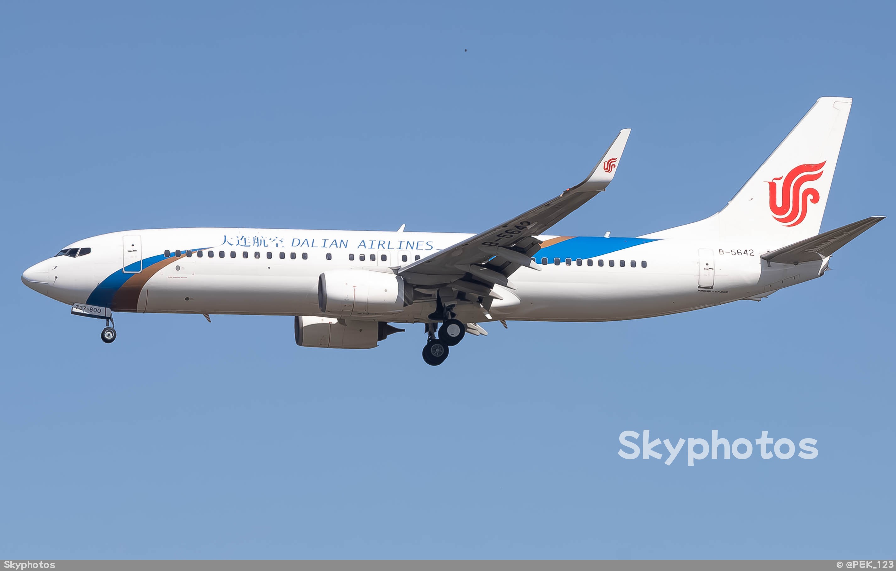 大连航空 B737-89L(WL)