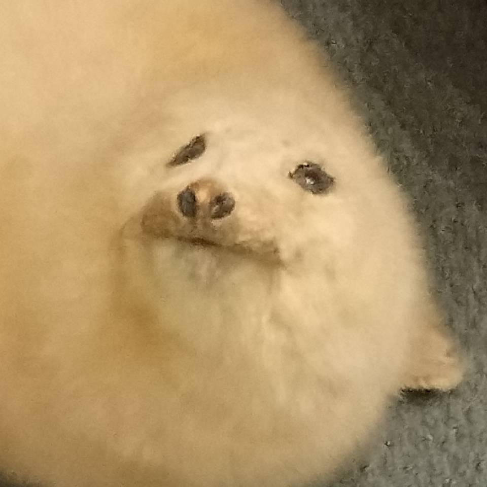 YYZ_Aviation的头像