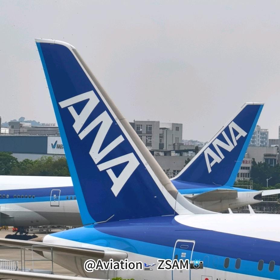 AviationZSAM的头像