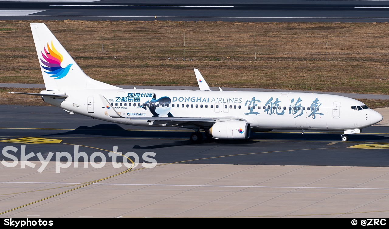 东海航空 B737-8Q8(WL)
