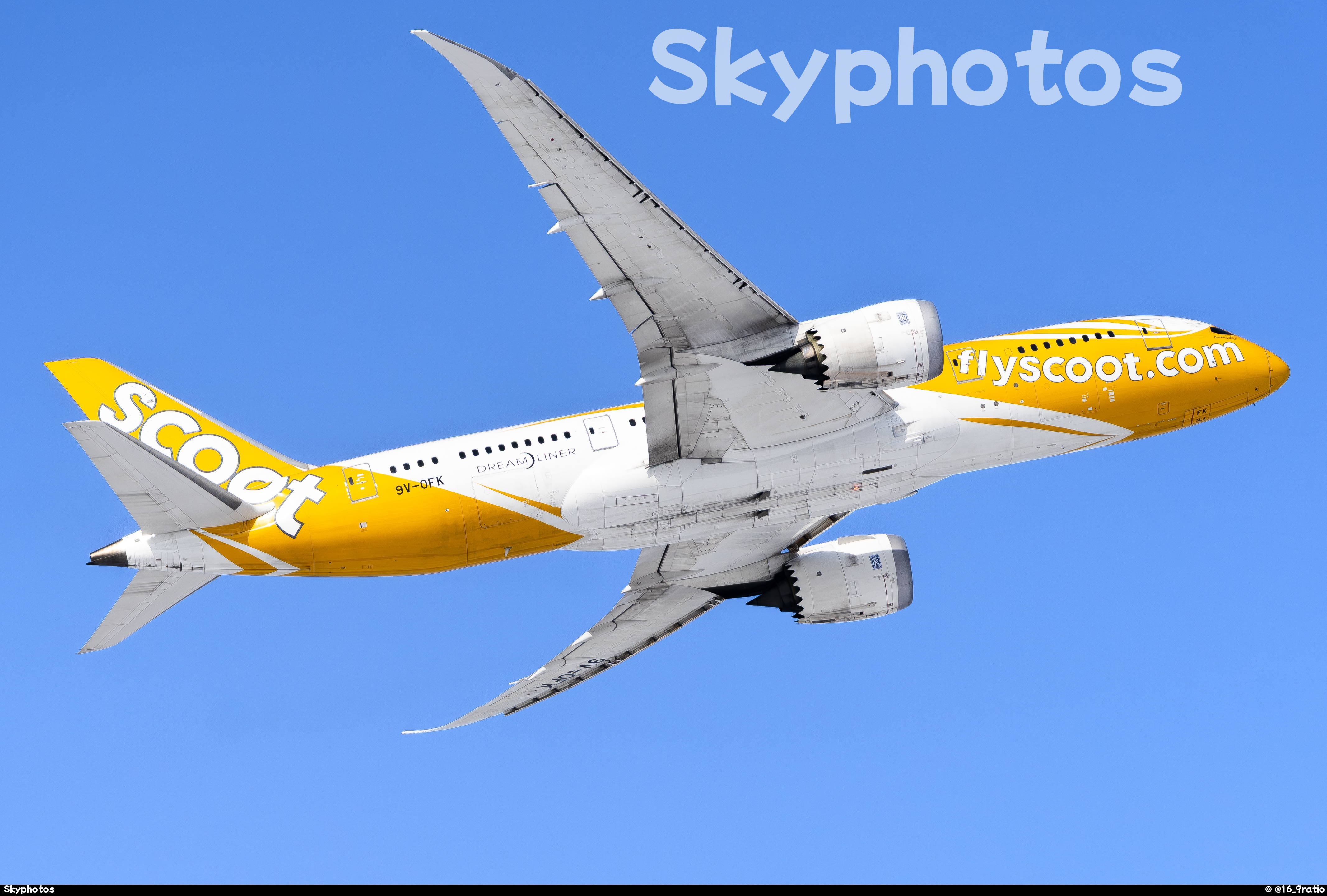 Scoot B787-8
